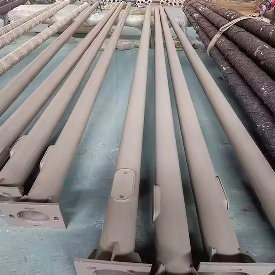 工場使用ステンレス鋼屋外 LED 亜鉛メッキダブルアームシングルアーム 6 メートル 8 メートル 10 メートル 12 メートルダブルおよびシングルアーム価格亜鉛メッキ鋼ソーラー街路灯ポール